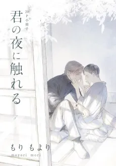 Kimi no Yoru ni Fureru cover