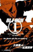 Bleach: Letters From the Other Side cover