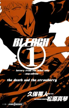 Bleach: Letters From the Other Side cover