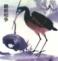 The Fight Between the Snipe and the Clam cover