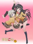 Kanokon: The Girl Who Cried Fox cover