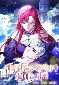 Ending This Marriage for Your Happiness cover