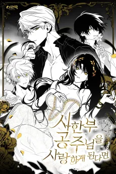 Falling for a Dying Princess cover