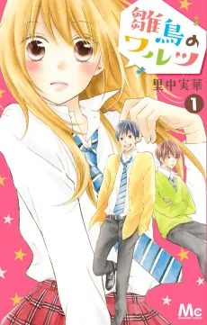 Hinadori No Waltz cover