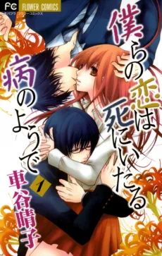 Bokura no Koi wa Shi ni Itaru Yamai no You de cover