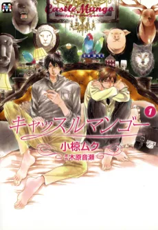 Castle Mango cover