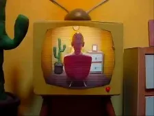 Television cover