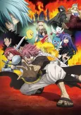 Fairy Tail: Phoenix Priestess cover
