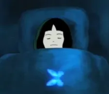 Blue Butterfly cover