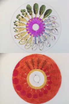 Phenakistoscope cover