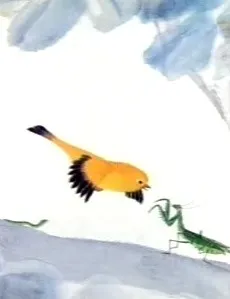 Tang Lang Bu Chan cover