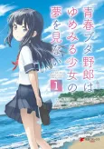 Rascal Does Not Dream of a Dreaming Girl cover