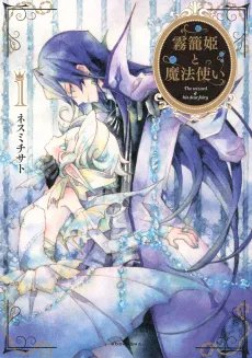 The Wizard and His Fairy cover