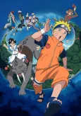 Naruto the Movie: Guardians of the Crescent Moon Kingdom cover