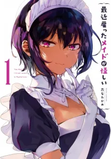 The Maid I Hired Recently is Mysterious cover