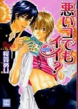Waruiko Demo Ii? cover