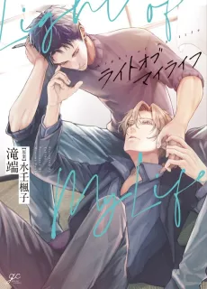 Light of My Life cover