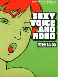 Sexy Voice and Robo cover