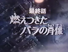 Versailles no Bara: Moetsukita Bara no Shouzou cover