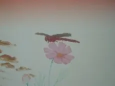 SONODA Video: Spring / Summer / Fall / Winter cover