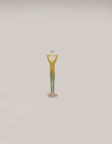 Walls cover