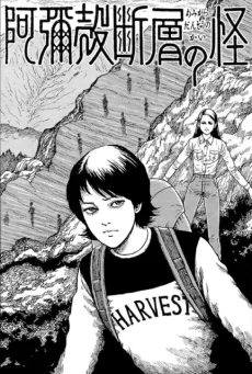 The Enigma of Amigara Fault cover