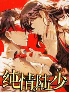 The Naive Mr. Lu cover