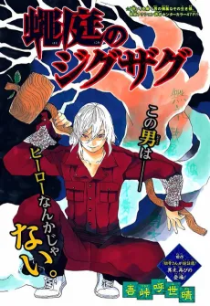 Zigzag from Haeniwa cover