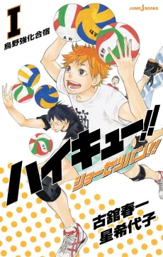 Haikyuu!! Shousetsu-ban!! cover