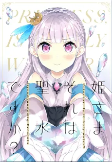 Hime-sama Sore wa Seisui Desu ka? cover
