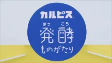 "Calpis" Hakkou Monogatari cover