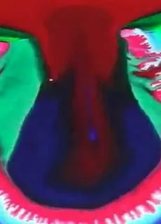 minamo cover