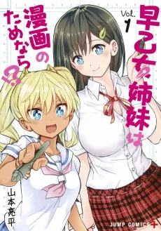 Saotome Shimai wa Manga no Tame Nara!? cover