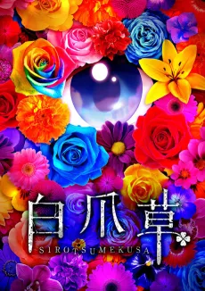 Sirotsumekusa cover