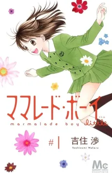 Marmalade Boy Little cover