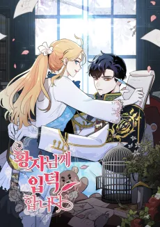 I Stan the Prince cover