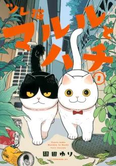 Cat Companions Maruru and Hachi cover