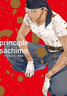 Principles cover