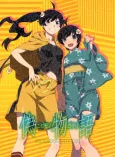 Nisemonogatari Anime Complete Guidebook cover