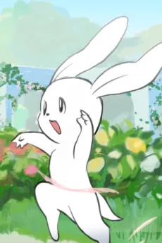 Prima Rabbit cover