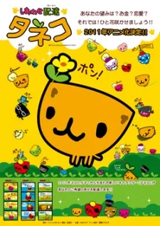 Shiawase Haitatsu Taneko cover