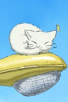 The streetlight and the cat cover