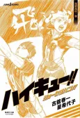 Haikyuu!! Shousetsuban!! Karasuno Koukou cover