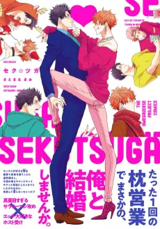 Seku☆Tsuga cover