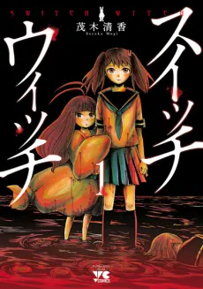 Switch Witch cover