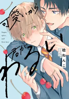 Kawaii kara Kimi ga Warui cover