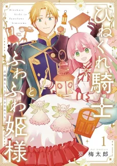 The Cynical Knight and Gentle Princess: Building Fairy Homes and a Life Together cover