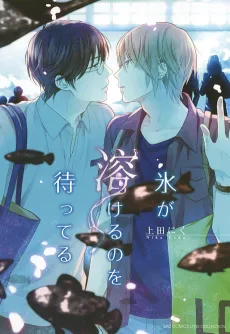 Koori ga Tokeru no wo Matteru cover