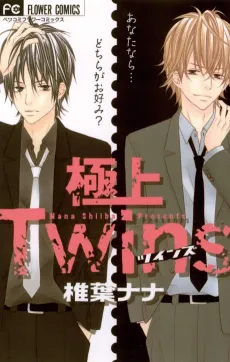 Gokujou Twins cover