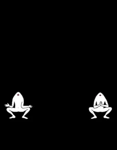 Sumo Wrestler cover